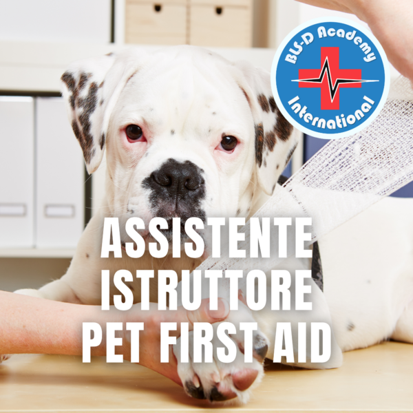 z1_Assistente Istruttore Pet First Aid