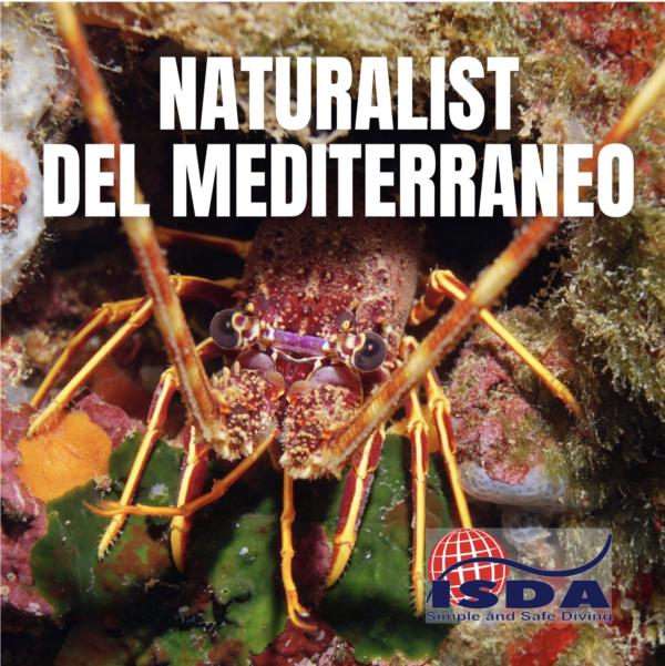 Naturalist del Mediterraneo
