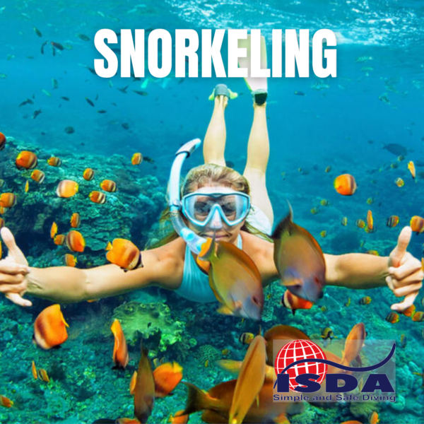 Snorkeling