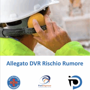 Allegato DVR Rischio Rumore
